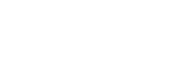 روکست گیمنگ logo